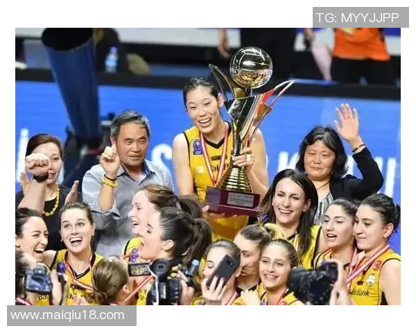 运动数据南京排球队的拼搏之路与挑战赛背后的感人故事