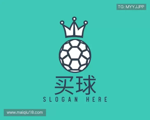 介绍买球站